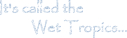 It's called the Wet Tropics...